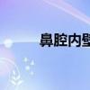 鼻腔内壁有凸起的一块肉（鼻腔）