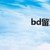 bd留置针新款（bd留置针）