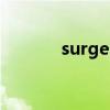 surges是什么意思（surges）