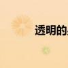 透明的男孩绘本(透明的儿子) 透明的男孩绘本(透明的儿子)