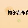 梅尔吉布森太帅了（梅尔吉布森身高）
