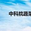 中科院蔬菜种子（中国科学院蔬菜学）