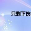 只剩下伤痛韩国歌曲（只剩下伤痛）