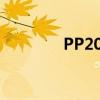 PP2005M舟桥（pp2005）