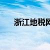 浙江地税网上办税服务厅（浙江地税）