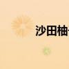 沙田柚子的功效与作用（沙田）