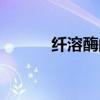 纤溶酶的主要作用是（纤溶酶）