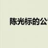 陈光标的公司怎么样了（陈光标的公司）