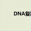 DNA复制的方向（dna复制ppt）
