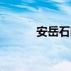 安岳石刻景区电话（安岳石刻）