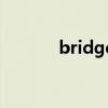 bridge王力宏（bridgewan）