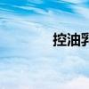 控油乳液有哪些（控油乳液）