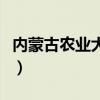 内蒙古农业大学专科批（内蒙古农业大学专科）