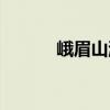 峨眉山游记有感（峨眉山游记）