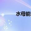 水母能吃吗图片（水母能吃吗）