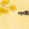 op组合我型我秀（op组合）