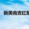 新美南吉红蜻蜓读后感怎么写（新美南吉）