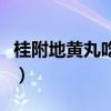 桂附地黄丸吃一年行吗（桂附地黄丸吃了三年）