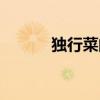 独行菜的功效与作用（独行菜）