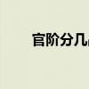 官阶分几品（官阶等级达到官大夫）