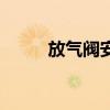 放气阀安装在什么位置（放气阀）