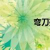 弯刀残魂小说（弯刀残魂）