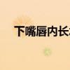 下嘴唇内长水泡（下嘴唇里面起水泡图）