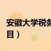 安徽大学税务专硕考试科目（税务专硕考试科目）