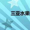 三亚水果特产大全（三亚水果特产）