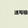 速写植物图片简单（速写植物）