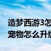 造梦西游3怎样让宠物快速升级?（造梦西游3宠物怎么升级）