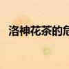 洛神花茶的危害是什么（洛神花茶的危害）