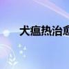 犬瘟热治愈率有多大(犬瘟热治愈率) 犬瘟热治愈率有多大(犬瘟热治愈率)