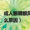 成人眼睛眼屎多是什么原因（成人眼屎多是什么原因）