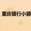 重庆银行小额贷款app（重庆银行小额贷款）