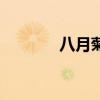 八月菊是什么意思（八月菊）