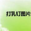 打乳钉图片欣赏视频（打乳钉图片欣赏）