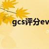 gcs评分evm分别代表什么（gcs评分）