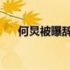 何炅被曝辞职 湖南台回应（何炅辞职）