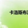 卡洛斯布泽尔简介(卡洛斯 布泽尔) 卡洛斯布泽尔简介(卡洛斯 布泽尔)