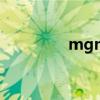 mgmqq空间（mgmqq）