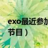 exo最近参加的节目有哪些（exo最近参加的节目）