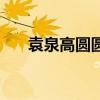 袁泉高圆圆是什么关系（袁泉高圆圆）