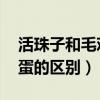 活珠子和毛鸡蛋的区别 知乎（活珠子和毛鸡蛋的区别）