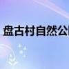 盘古村自然公园开放时间（盘古村自然公园）