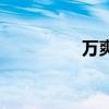 万爽力说明书（万爽力）