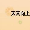 天天向上rta雪绒花（天天向上rta）
