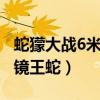 蛇獴大战6米眼镜王蛇视频（70多斤最大的眼镜王蛇）
