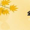 金股通汇（金股通）