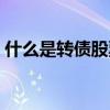什么是转债股票（可转债什么时候可以转股）